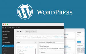 Roluri-i-permisiuni-pe-un-site-Wordpress