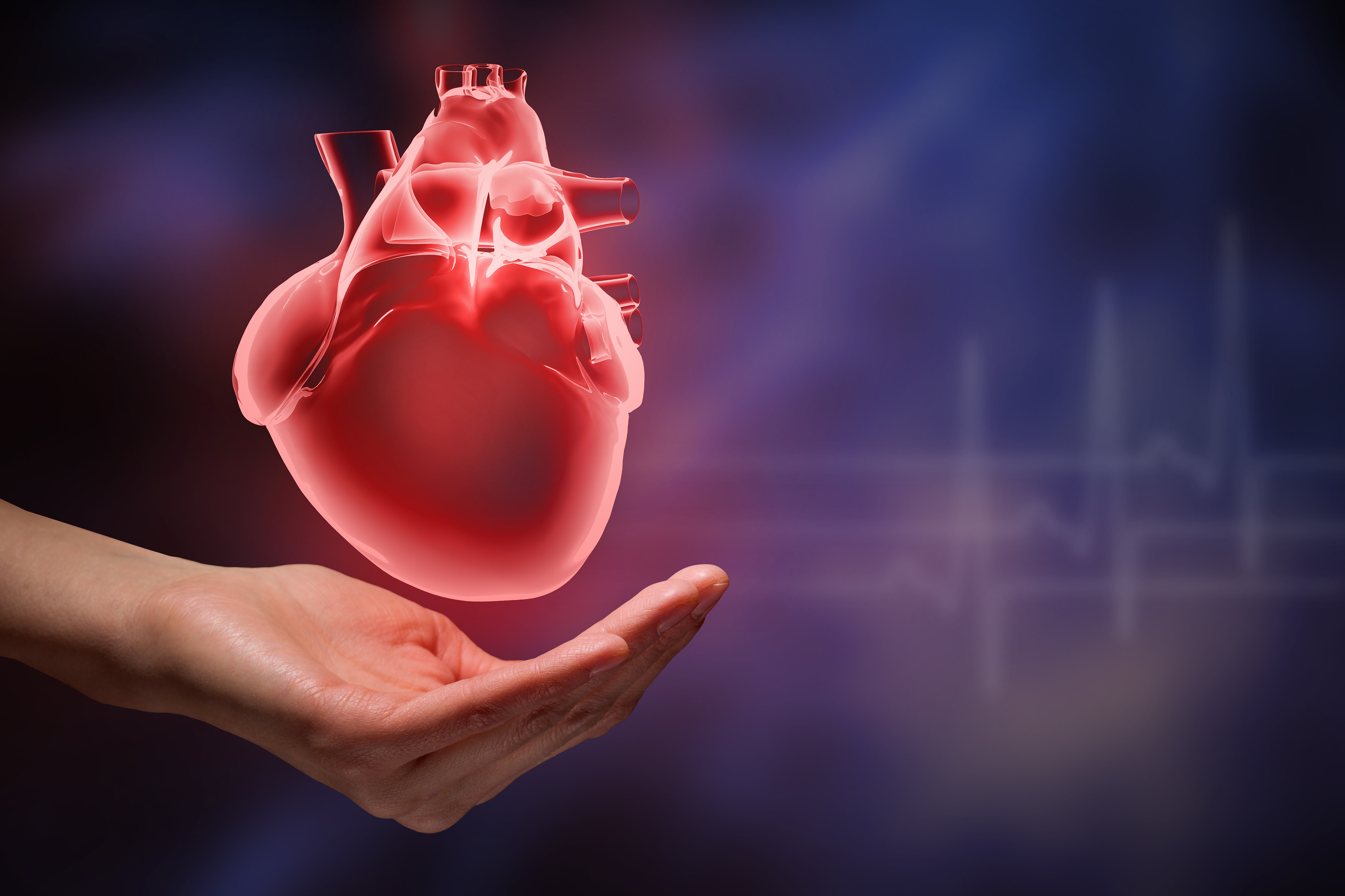 Ce curiozitati au oamenii despre bolile inimii?