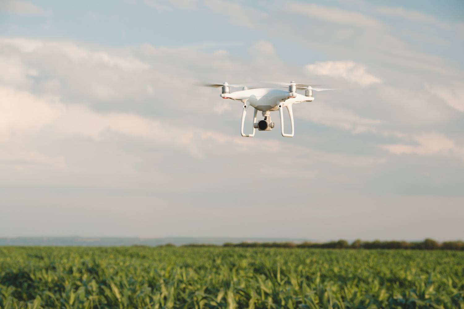 Dronele – viitorul agriculturii și silviculturii moderne