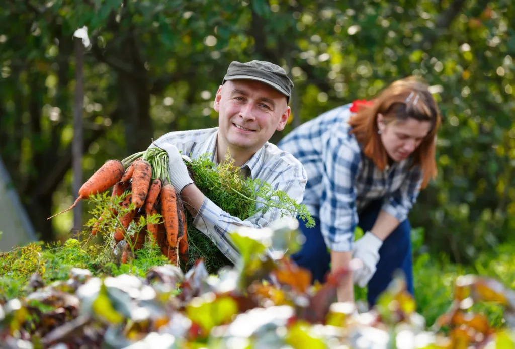 Descoperind Cele Mai Potrivite Plante pentru Grădină: Alegeri Inspirate pentru O Recoltă Abundentă