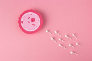 Ce implică procesul FIV de inseminare?