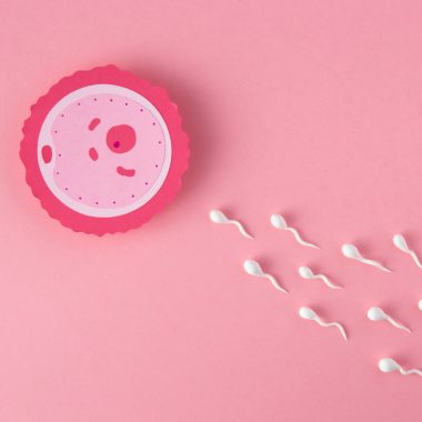 Ce implică procesul FIV de inseminare?