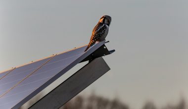 panouri fotovoltaice industriale