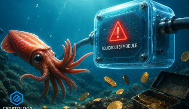 Exploit de 3,2 milioane de dolari prin SquidRouterModule, Squid neagă orice implicare